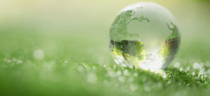Our CSR Policy - Scutum Group - crystal globe resting in grass